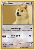 Doge
