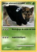 berger allemand