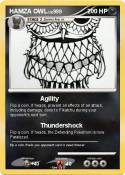 HAMZA OWL