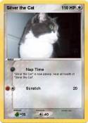 Silver the Cat