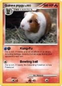 Guinea piggy