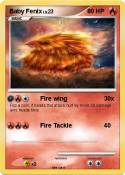 Baby Fenix