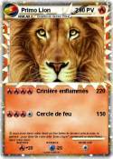 Primo Lion 2