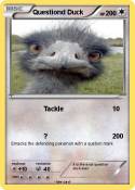 Questiond Duck