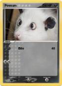Possum