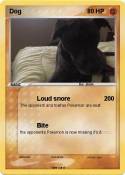 Dog