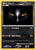Black Cat