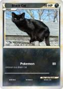 Black Cat