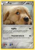 Pup