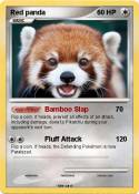 Red panda