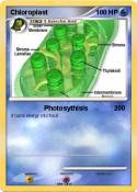 Chloroplast