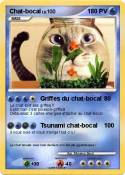 Chat-bocal