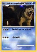 husky siberien
