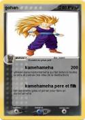 gohan