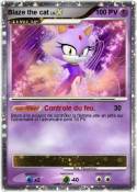 Blaze the cat