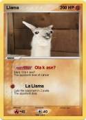Llama