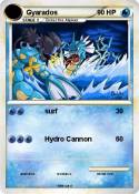Gyarados