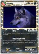 Husky