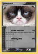 grumpy cat
