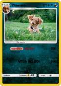 Chiweenie