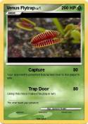 Venus Flytrap