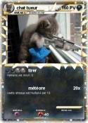 chat tueur