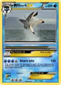 Shark