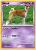 basenji