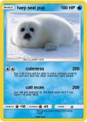 harp seal pup