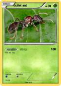 bullet ant