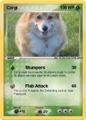 Corgi