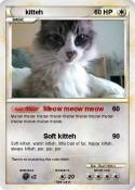 kitteh