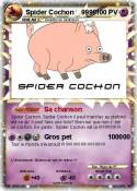 Spider Cochon