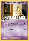 rosy`s INVISIBL