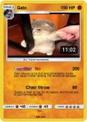 Gato