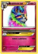 rainbow cat