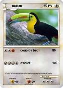 toucan