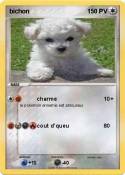 bichon