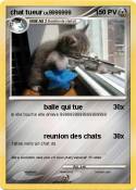 chat tueur