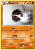 Turtwig EX