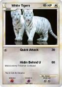 White Tigers
