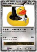 soeur canard