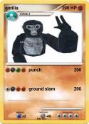 gorilla