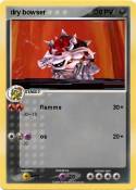 dry bowser