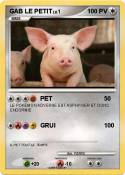 GAB LE PETIT