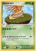 bout de terre