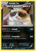 Grumpy Cat