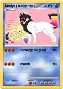 Maelys ( husky