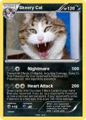 Skeery Cat
