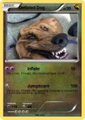 Deflated Dog
